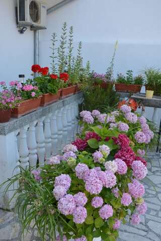 Гостевой дом Guest House Vera Улцинь-2